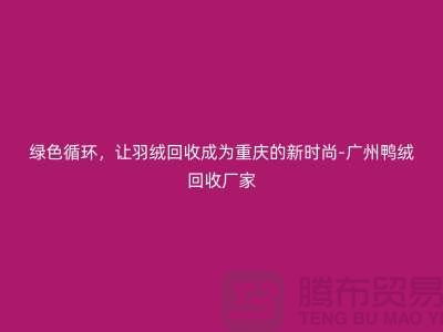 绿色循环，让羽绒回收成为重庆的新时尚-广州鸭绒回收厂家