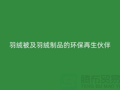 正规羽绒回收公司 —— 您的羽绒服、羽绒被及羽绒制品的环保再生伙伴