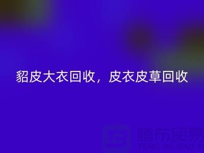 貂皮大衣回收，皮衣皮草回收，高档大衣回收-上海库存服装回收公司